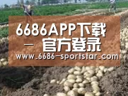 种植基地八