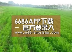 种植基地四