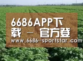 种植基地五