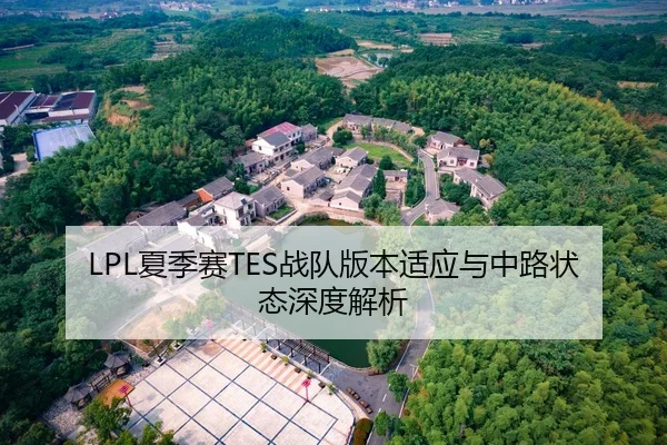 LPL夏季赛TES战队版本适应与中路状态深度解析